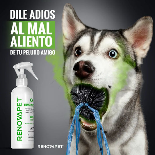 RENOVAPET - Enjuague Bucal para Mascotas