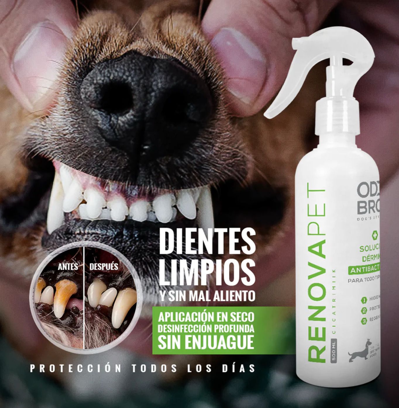 RENOVAPET - Enjuague Bucal para Mascotas
